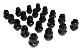 4006956blkk Crown Automotive Sales Co. Lug Nut Kit