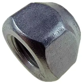 611-065.1 Dorman/autograde