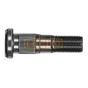E-8962 Euclid Stud