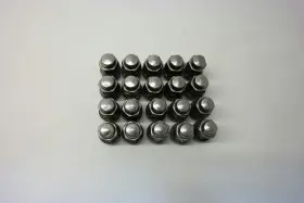 563.fd1312 Ford 2012 Flex Full Set Of 20 Wheel Lug Nuts