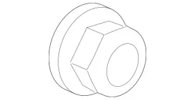 11612295 Gm Genuine Multi-purpose Nut