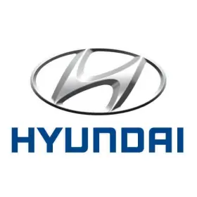 A5529-ab120 Hyundai Genuine Wheel Lug Nut