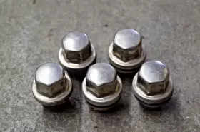 Anr3679 Land Rover Oem Range P38 Discovery 2 99-04 Wheel Lug Nuts Set X5