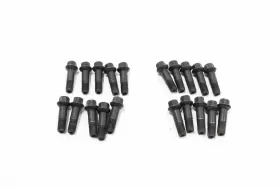 A0009901807 Mercedes-benz E450 C238 Wheel Rim Lug Nut Bolt Bolts Oem 2017 - 2023 -set Of 20