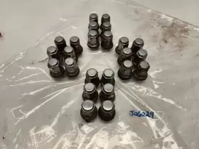 563.to1801 Toyota 2001 Tacoma 2wd Oem Lug Nuts Full Set