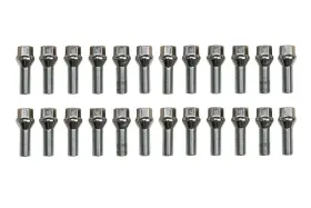 2110-sl Van Compass Yukon Gear Wheel Lug Nut Set For 10-26 Mercedes-benz Sprinter 2500