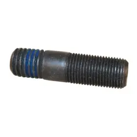 4306583 World American Stud