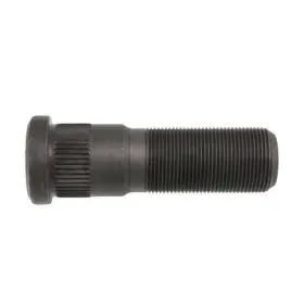 Wa07-5107 World American Stud