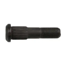 Wa07-7223 World American Stud