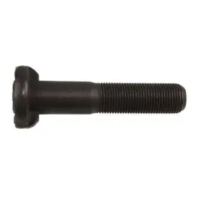 Wa07-7296 World American Stud