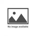 TI22 Performance Mini Sprint Front Studs And Nuts 4 Each TIP3576 New. Price: $86.72.