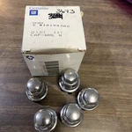 Gm 10194308 Wheel Nut Cap 1992-2004 5 Pack New. Price: $18.99.