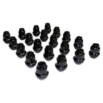 Crown Automotive 4006956BLKK Wheel Lug Nut Kit New. Price: $66.83.