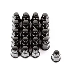 Rugged Ridge 16715.23 Wheel Lug Nut Set Of Black 1/2-20 New. Price: $53.99.