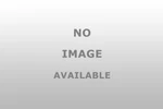 Dorman 611936 Wheel Nut Reliable Performance New. Price: $113.99.