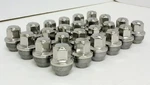 2015-2026 Ford F-150 Factory Oem Polished Lug Nuts Set 24 New Takeoff. Price: $27.99.