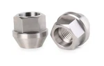 M14X1.5 Open Titanium Lug Nuts For All Original Tesla Wheels New. Price: $269.99.