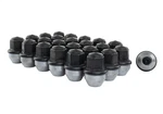 Ford Performance M-1012K-F15B Wheel Lug Nut Kit New. Price: $189.99.