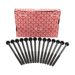 Elring Cylinder Head Bolt Set 234.640 New. Price: $62.02.