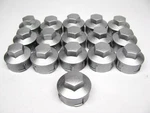 (16) New Unboxed Ford 8S4Z-1K011-A Wheel Lug Nut Cover 2001-2011 Focus. Price: $35.99.