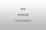Coyote Archived 86K549 Blt 19MM 2X28 20 New. Price: $62.96.