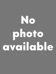 Porsche 911 Oem Exhaust Nut 999.085.001.02 99908500102 New. Price: $33.00.