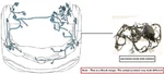 Engine Room Harness Oem 2005 Chevrolet SILVRDO35 Used. Price: $200.00.