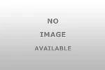 Wheel Accessories W6025BK Lug Nut New. Price: $14.64.